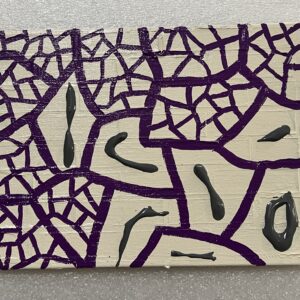 155 – Peq_107